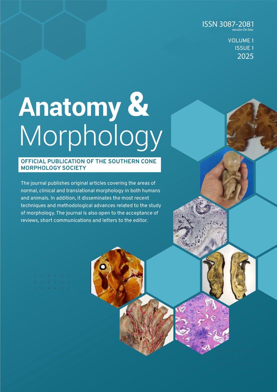 Cover-Issue-1
